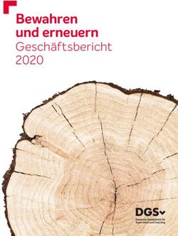 Bewahren und erneuern - Gesch&auml;ftsbericht 2020 - DGSv