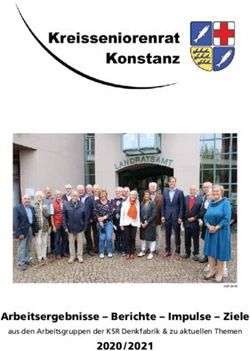 Arbeitsergebnisse - Berichte - Impulse - Ziele 2020 / 2021 - aus den Arbeitsgruppen der KSR Denkfabrik & zu aktuellen Themen - Kreisseniorenrat ...