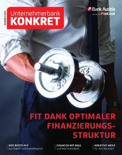 FIT DANK OPTIMALER FINANZIERUNGS-STRUKTUR - DER BESTE MIX aus Eigen- und Fremdkapital - Bank ...