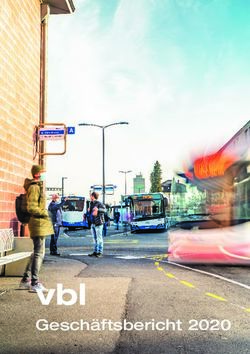 Vbl Gesch&auml;ftsbericht 2020 - Verkehrsbetriebe Luzern