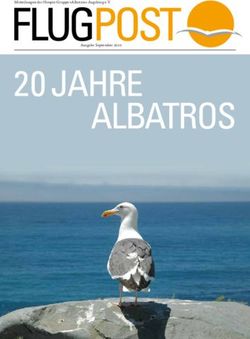 FLUGPOST 20 JAHRE ALBATROS