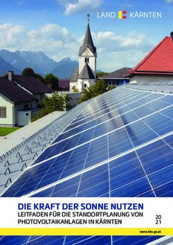 DIE KRAFT DER SONNE NUTZEN - LEITFADEN F&Uuml;R DIE STANDORTPLANUNG VON PHOTOVOLTAIKANLAGEN IN K&Auml;RNTEN - Land K&auml;rnten