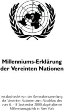 Millenniums-Erklärung der Vereinten Nationen
