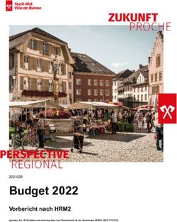 Budget 2022 Vorbericht nach HRM2 (gem&auml;ss Art. 29 Direktionsverordnung &uuml;ber den Finanzhaushalt der Gemeinden FHDV; BSG 170.511 ) - Stadt Biel