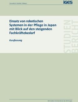 Einsatz von robotischen Systemen in der Pflege in Japan mit Blick auf den steigenden Fachkräftebedarf - Kurzfassung