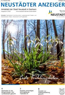 NEUST&Auml;DTER ANZEIGER Amtsblatt der Stadt Neustadt in Sachsen