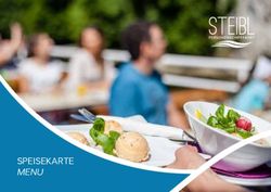 2019 SPEISEKARTE - STEIBL PERSONENSCHIFFFAHRT