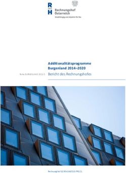 Additionalit&auml;tsprogramme Burgenland 2014-2020 - Bericht des Rechnungshofes Reihe BURGENLAND 2021/5