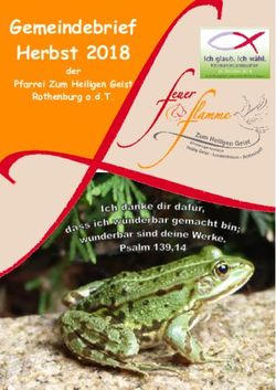 Gemeindebrief Gemeindebrief Sommer 2014 Pfarrei Zum Heiligen Geist - der Rothenburg o.d.T - Aktueller Gemeindebrief