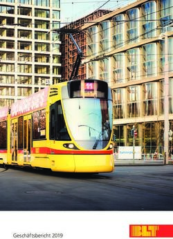 Gesch&auml;ftsbericht 2019 - BLT