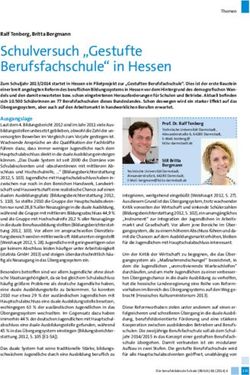 Schulversuch "Gestufte Berufsfachschule" in Hessen