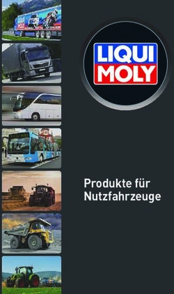 Produkte für Nutzfahrzeuge - LIQUI MOLY