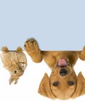 Tierischer Umsatz in der MEO-Region - Auf den Hund gekommen - IHK24