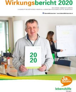 Wirkungsbericht 2020 - Lebenshilfe K&auml;rnten