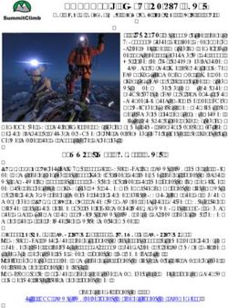 EVEREST - S&uuml;danstieg von Nepal - SummitClimb