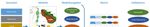 MEDWATER-GLOBALE RESSOURCE WASSER