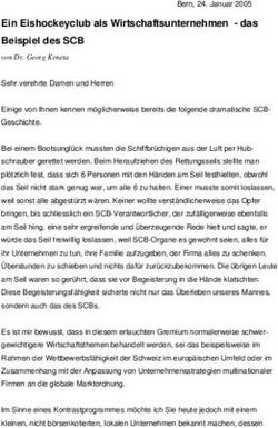 Ein Eishockeyclub als Wirtschaftsunternehmen - das Beispiel des SCB