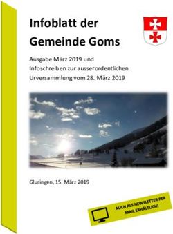 Infoblatt der Gemeinde Goms - Ausgabe M&auml;rz 2019 und Infoschreiben zur ausserordentlichen Urversammlung vom 28. M&auml;rz 2019