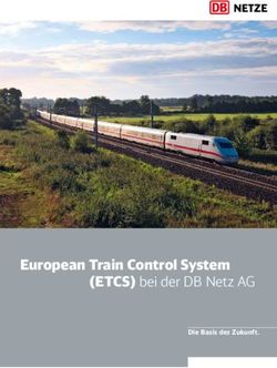 European Train Control System (ETCS) bei der DB Netz AG - Die Basis der Zukunft.