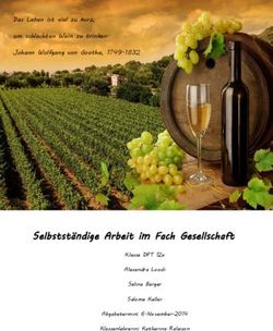 Selbstst&auml;ndige Arbeit im Fach Gesellschaft