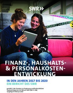 FINANZ-, HAUSHALTS- & PERSONALKOSTEN-ENTWICKLUNG - IN DEN JAHREN 2017 BIS 2020 EIN BERICHT DES SWR