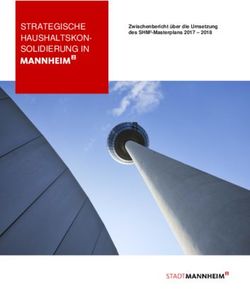 STRATEGISCHE HAUSHALTSKON-SOLIDIERUNG IN - Stadt Mannheim