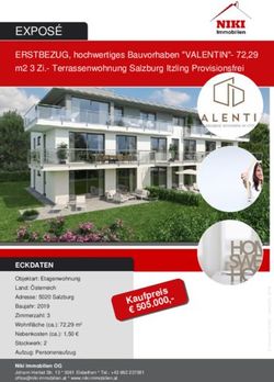 EXPOSÉ - Niki Immobilien eU