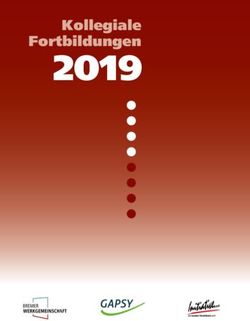 2019 Kollegiale Fortbildungen - Initiative zur sozialen Rehabilitation eV