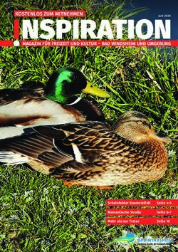 KOSTENLOS ZUM MITNEHMEN - Scheinfelder Baumvielfalt - Bad ...