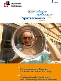 Kaminfeger Ramoneur - Kaminfeger Schweiz