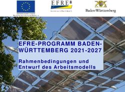 EFRE - PRO G RAMM BADEN - WÜRTTEMBERG 2021 -2027 - Rahmenbedingungen und Entwurf des Arbeitsmodells