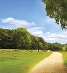 Are we winning the war on cancer? - SAKK