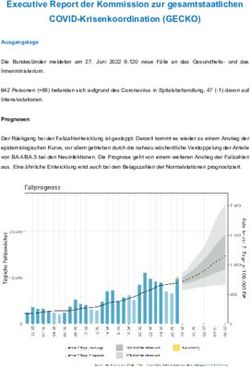 Executive Report der Kommission zur gesamtstaatlichen COVID-Krisenkoordination (GECKO) - Bundeskanzleramt &Ouml;sterreich