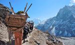 Nepal Everest-Basecamp, drei Fünftausender und Kultur - SERBUS