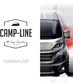 Collection 2019 - Camp-Line