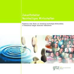 Zukunftsfaktor Nachhaltiges Wirtschaften - Ergebnisse einer Studie zur Umsetzung nachhaltigen Wirtschaftens in international tätigen deutschen ...