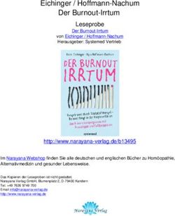 Eichinger / Hoffmann-Nachum Der Burnout-Irrtum - Leseprobe