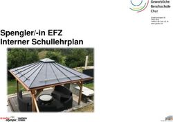 Spengler/-in EFZ Interner Schullehrplan - Gewerbliche ...