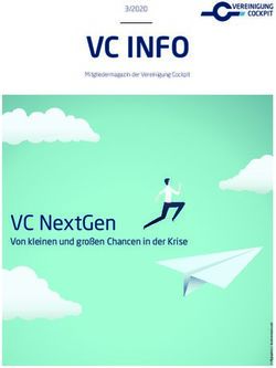 VC INFO - VC NextGen Von kleinen und gro&szlig;en Chancen in der Krise - Vereinigung Cockpit