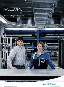 WELCOME! Der voestalpine-Konzern - pagestrip.com