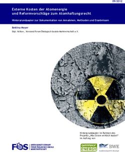 Externe Kosten der Atomenergie und Reformvorschläge zum Atomhaftungsrecht