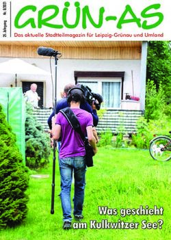 WWaass ggeesscchhiieehhtt aamm KKuullkkwwiittzzeerr SSeeee?? - Das aktuelle Stadtteilmagazin f&uuml;r Leipzig-Gr&uuml;nau und Umland - Gr&uuml;n-As