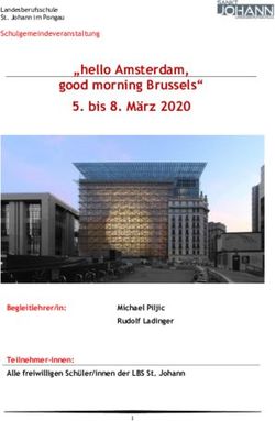 "hello Amsterdam, good morning Brussels" 5. bis 8. M&auml;rz 2020 - Begleitlehrer/in