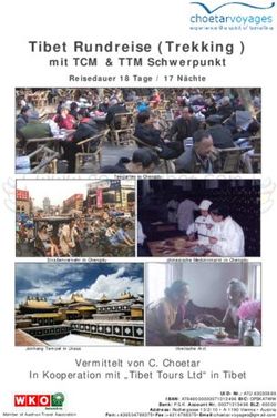 Tibet Rundreise (Trekking ) - mit TCM & TTM Schwerpunkt