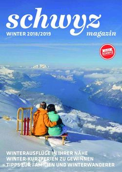 Schwyz magazin WINTER 2018/2019 - WINTERAUSFL&Uuml;GE IN IHRER N&Auml;HE WINTER-KURZFERIEN ZU GEWINNEN TIPPS F&Uuml;R FAMILIEN UND WINTERWANDERER - Fasnachtsspiel