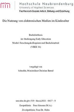 Die Nutzung von elektronischen Medien im Kindesalter