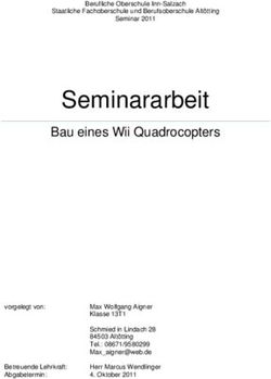 Seminararbeit Bau eines Wii Quadrocopters