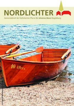 Juni 2019 - August 2019 - Katholische Pfarrei St. Johannes Bosco Magdeburg