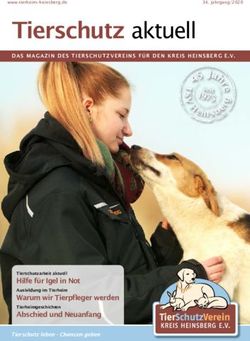 Tierschutz aktuell - Tierheim Heinsberg