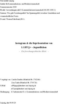 Instagram & die Repr&auml;sentation von LGBTQ+ - Jugendlichen